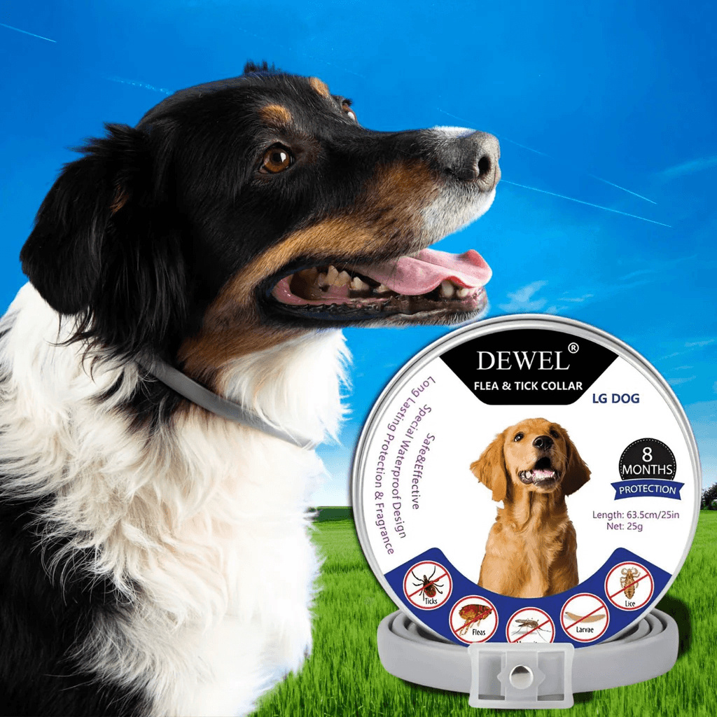 #1 — DEWEL Natural Flea Repellent Collar for Dogs #1 — DEWEL Natural Flea Repellent Collar for Dogs